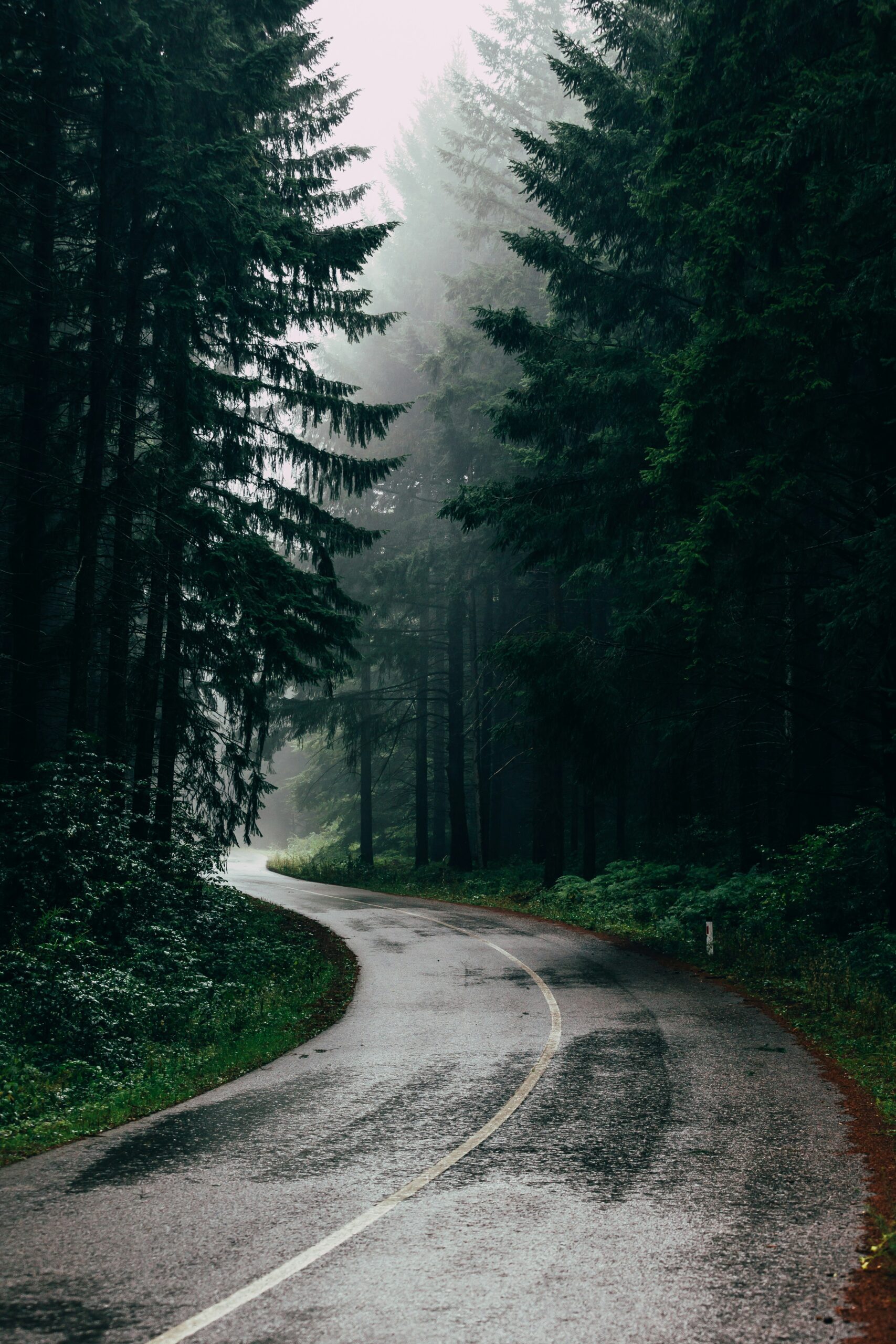 can i wear leather jacket in rain